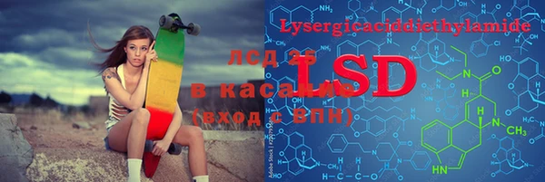 PSILOCYBIN Наволоки