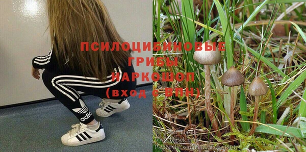 ALPHA-PVP Нефтекумск