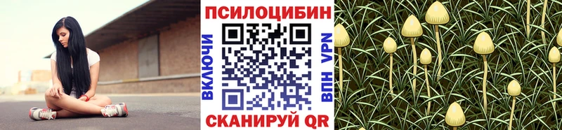 Галлюциногенные грибы Psilocybine cubensis  Новокубанск 